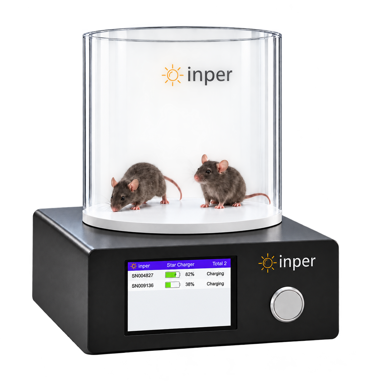 In vivo wireless charging illustration with two mice and two implant entries