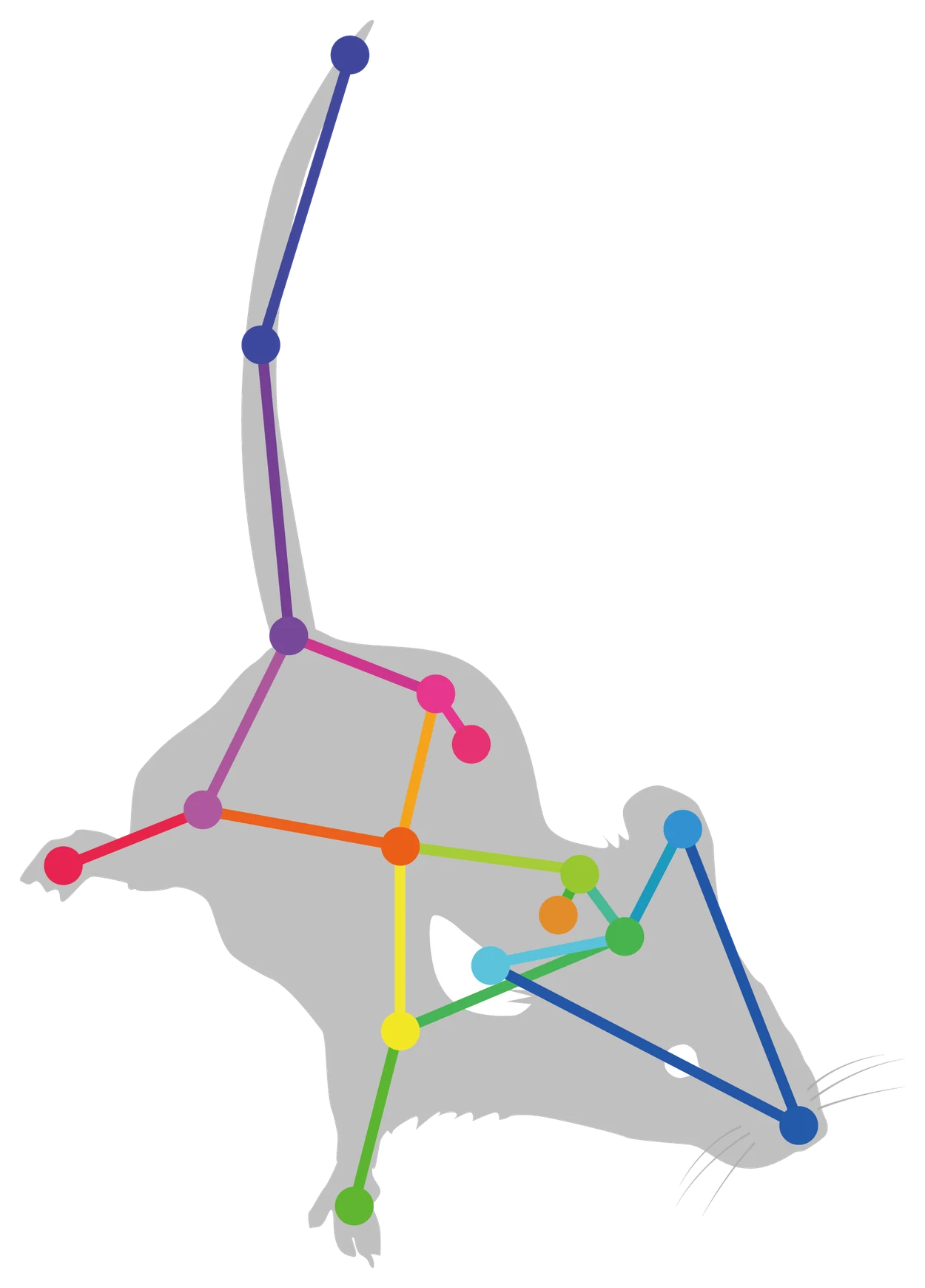 Animal 3D pose visualization from Inper Smart