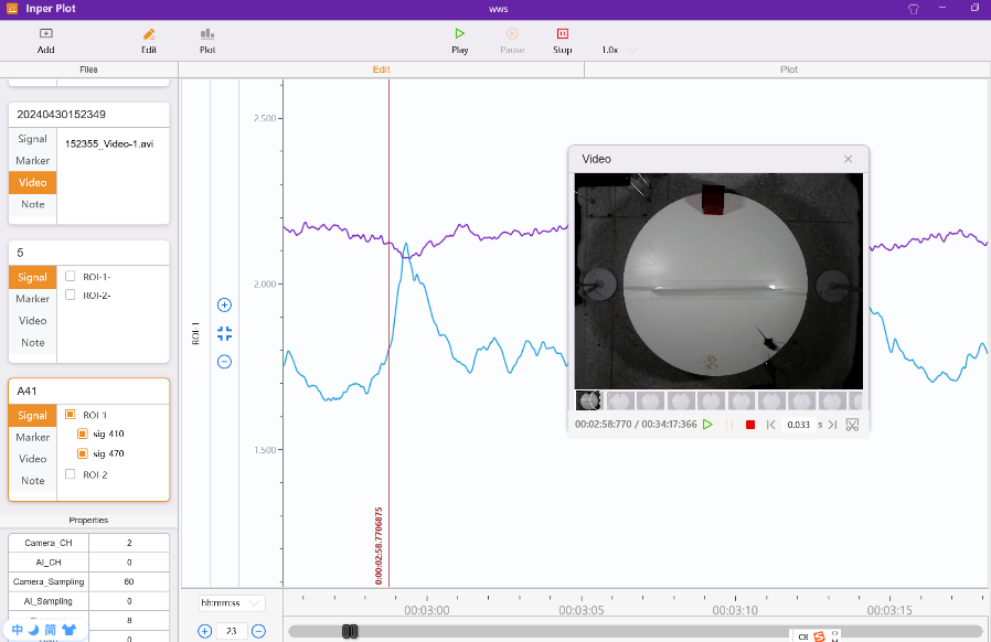 Synchronized video review · Inper Plot