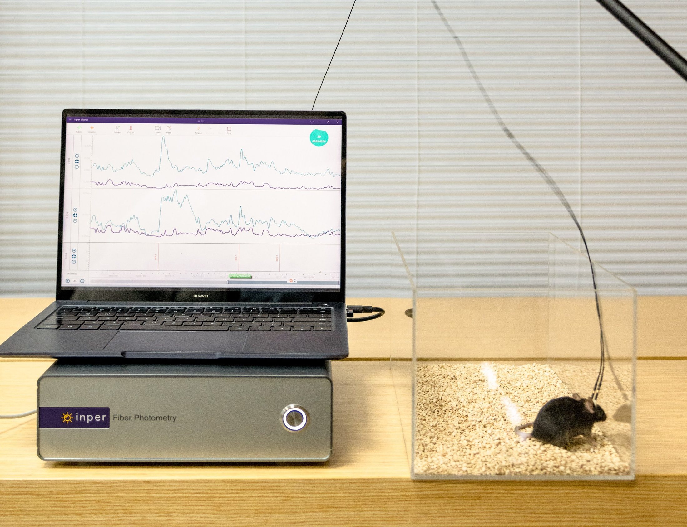 Vista system and software scene