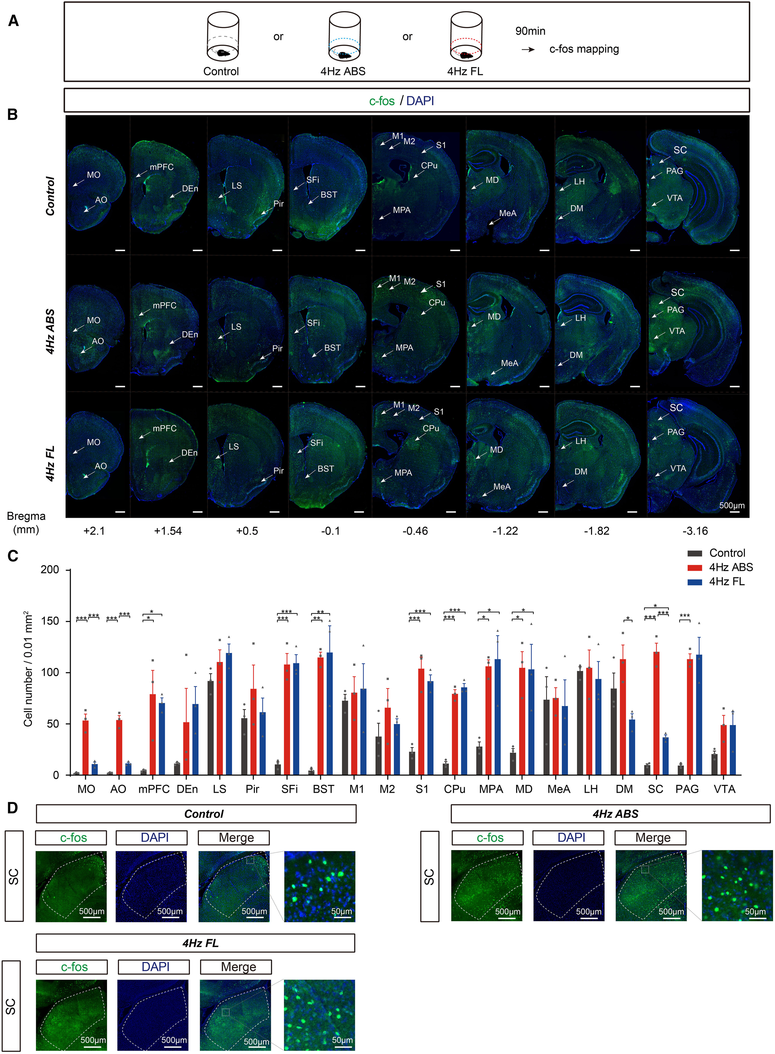 Whole-brain coronal fluorescence atlas of c-Fos and DAPI immunostaining across eight rostrocaudal levels following 4-Hz alternating bilateral sensory stimulation (ABS)