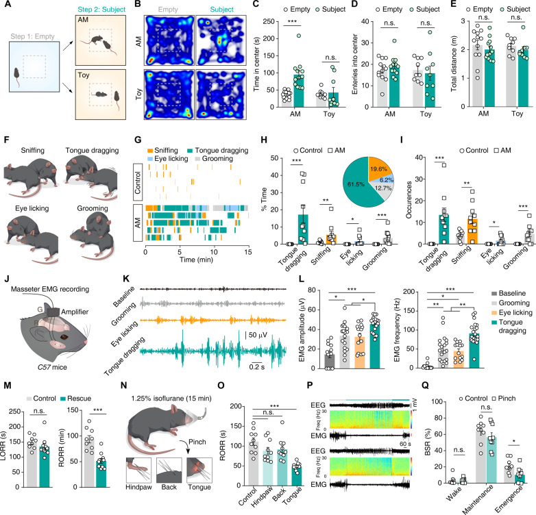 Original Figure 1: Behavior and recovery outcomes