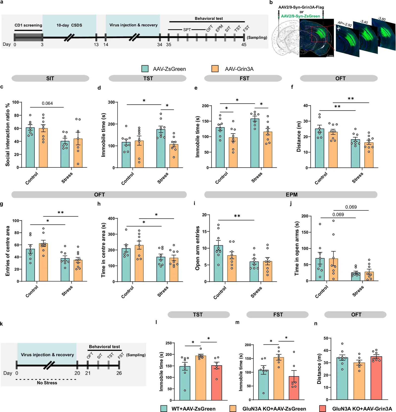 CA1i localization and expression from original Figure 2b