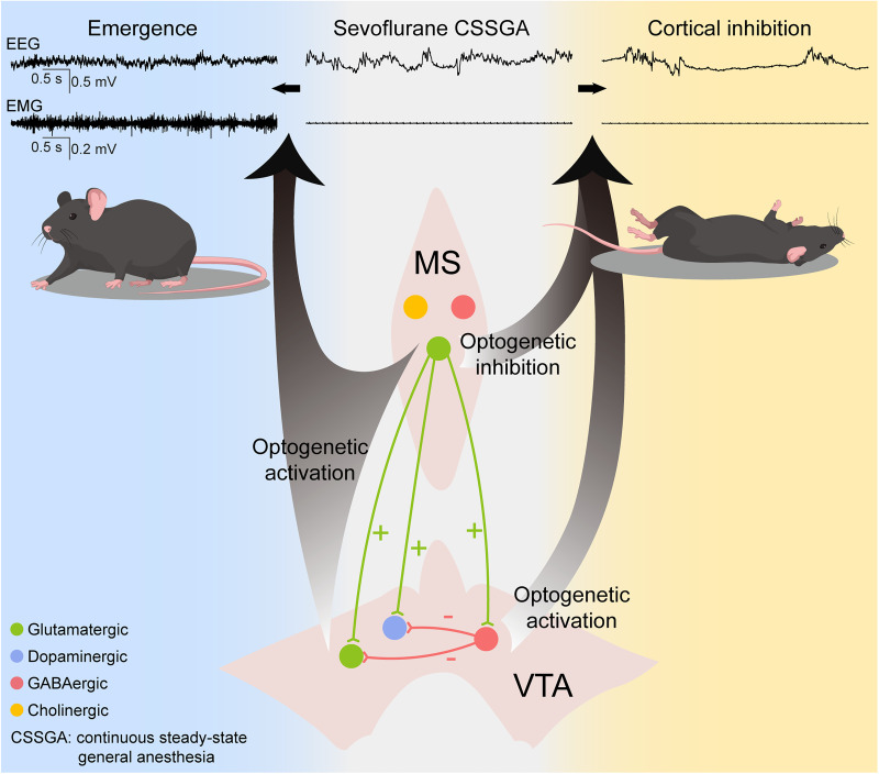 Arousal and suppression illustration from original Figure 9