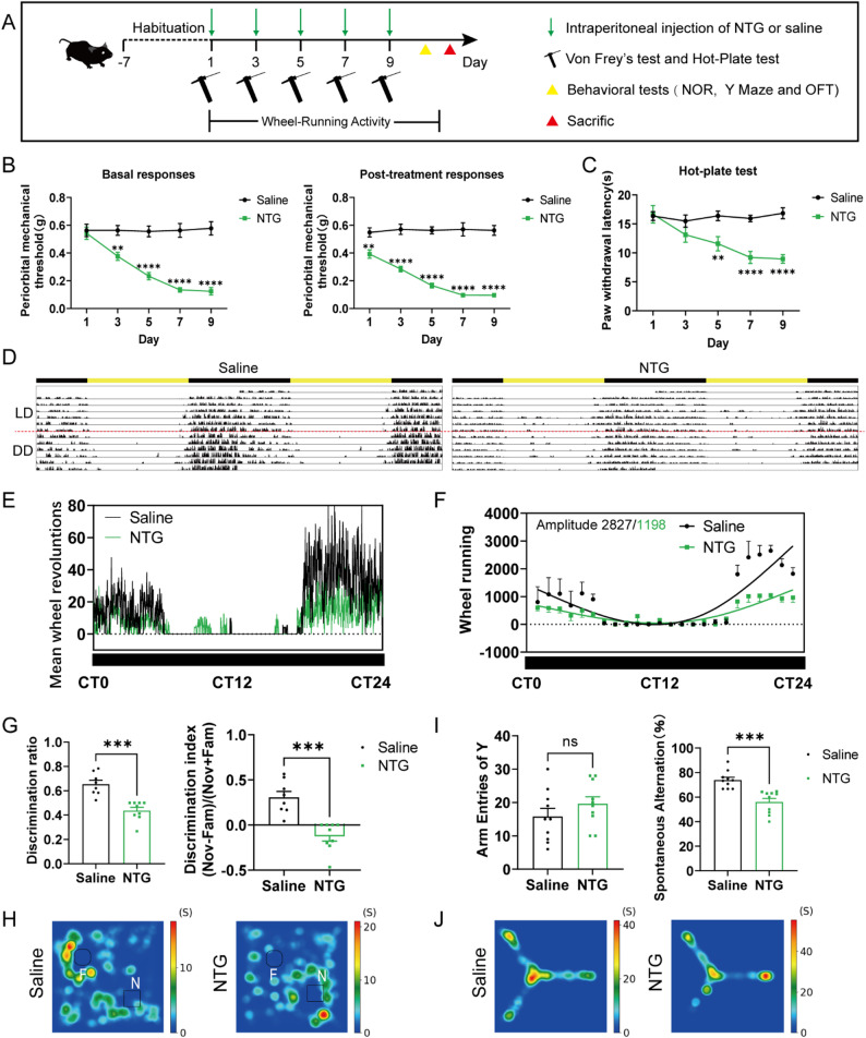 Original Figure1E: wheel-running activity in control and nitroglycerin-model mice