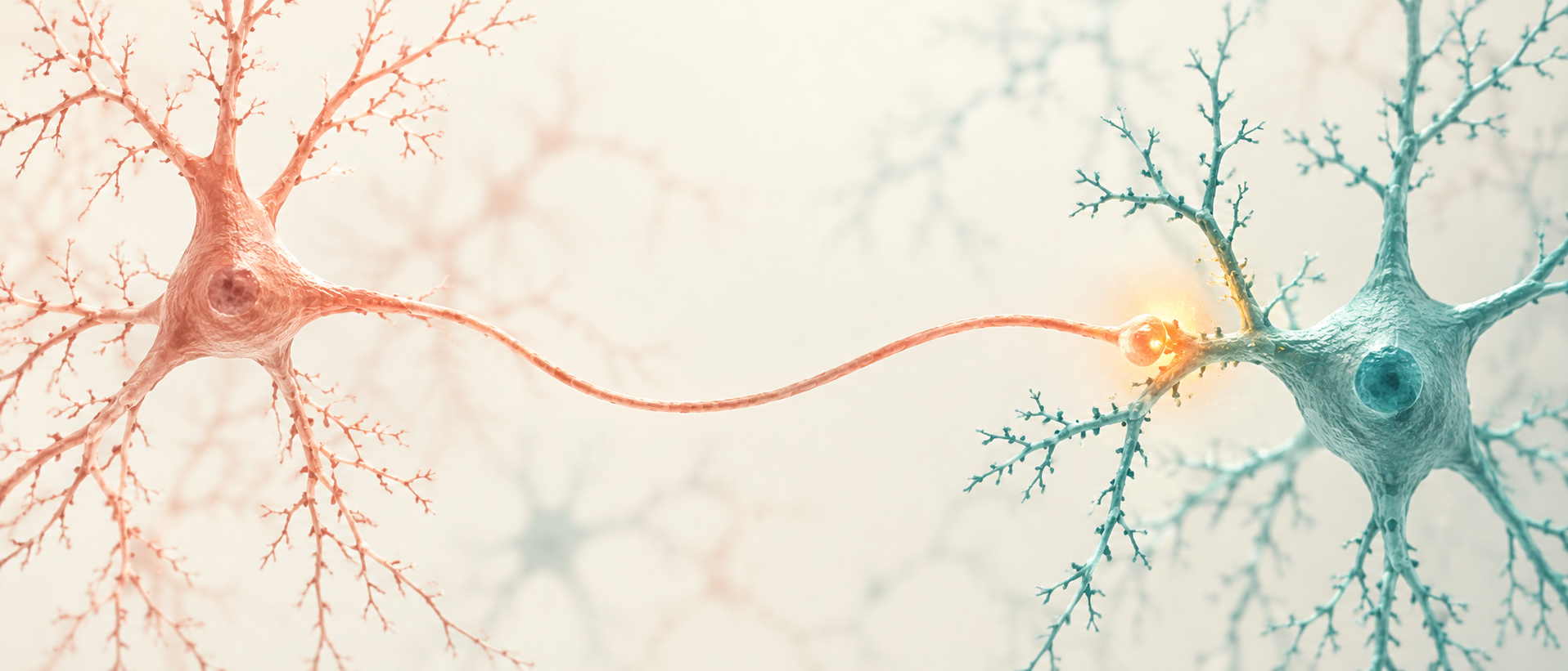 AI conceptual illustration: a connection between a somatosensory-cortical cell and an amygdala recipient cell