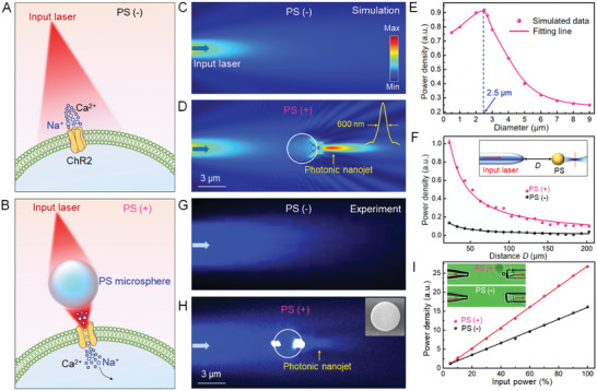 Original Figure 1H detail: the measured optical field near a microsphere